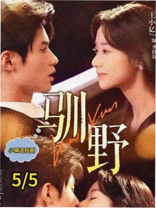 釜山夜航 免费韩剧在线观看网站